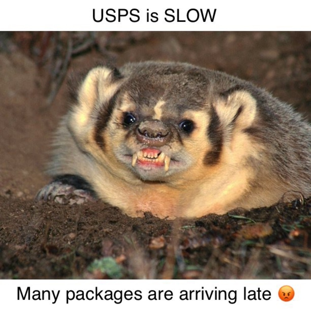 USPS shipping delayed